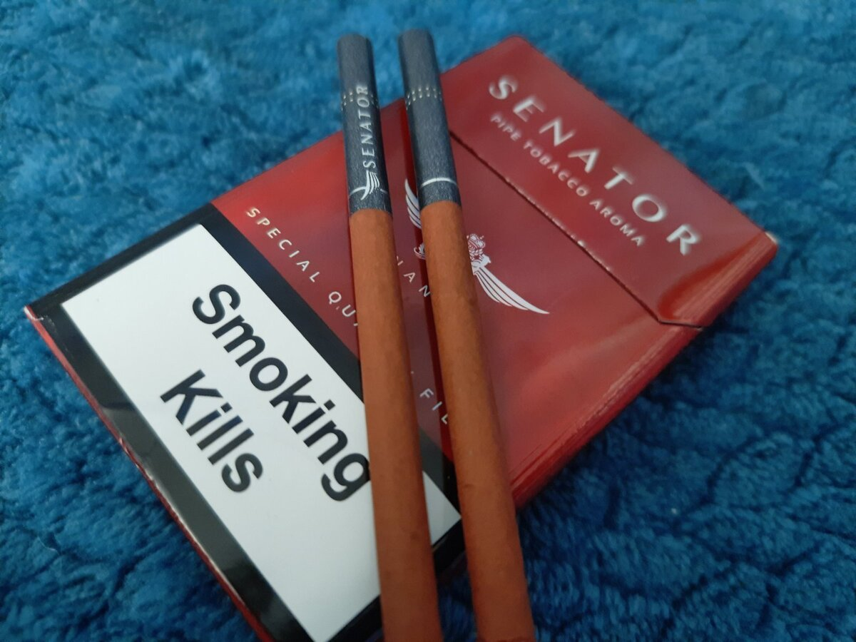 Djarum Black (Karanfil) ve Cherry (Vişne)